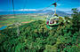 Skyrail Rainforest Cableway